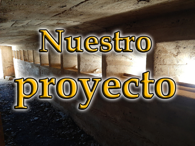 El proyecto
