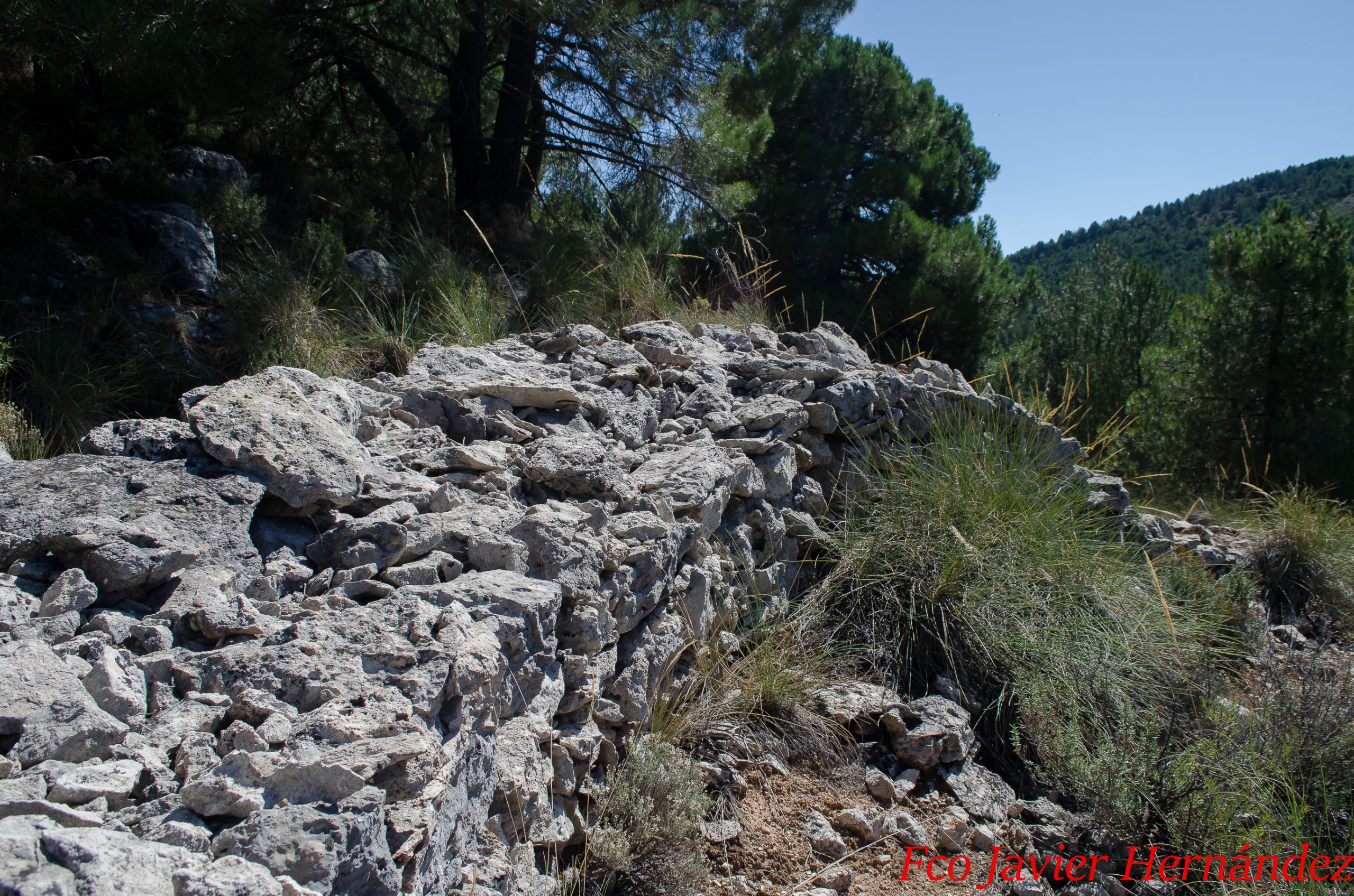 Posición en Cerro de los Baldíos. Sierra de Huétor. Granada.