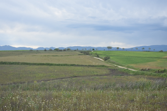 Estampa natural de los alrededores de Brunete, naturaleza y paisaje histórico conviviendo